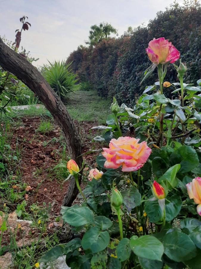 Villa Bellocchio Locorotondo Bagian luar foto